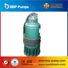 Submersible Pump with Float Switch, Water Pump, Garden Pump